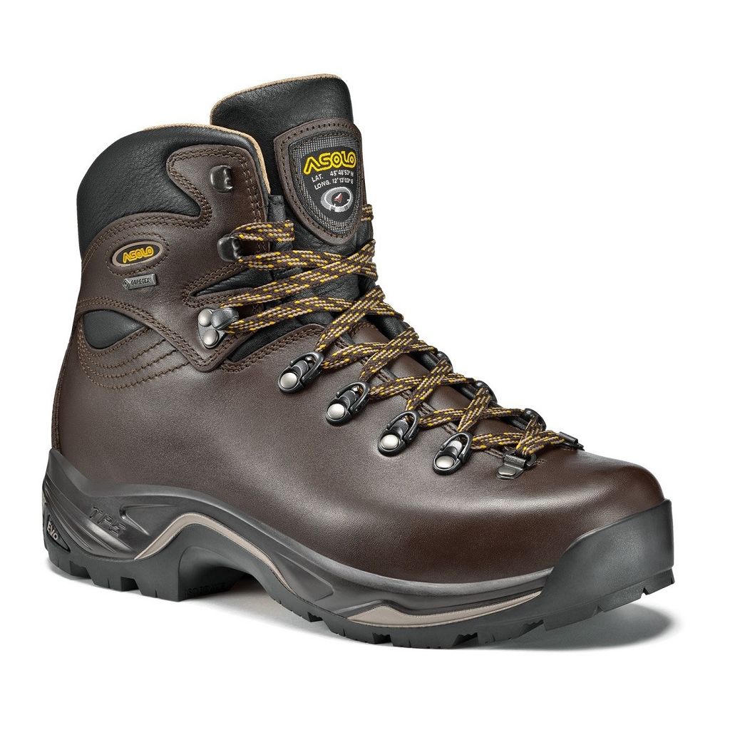 Bottes Asolo TPS 520 GV evo - Chaussure Randonnée Chesnut Homme | LWX-85242587