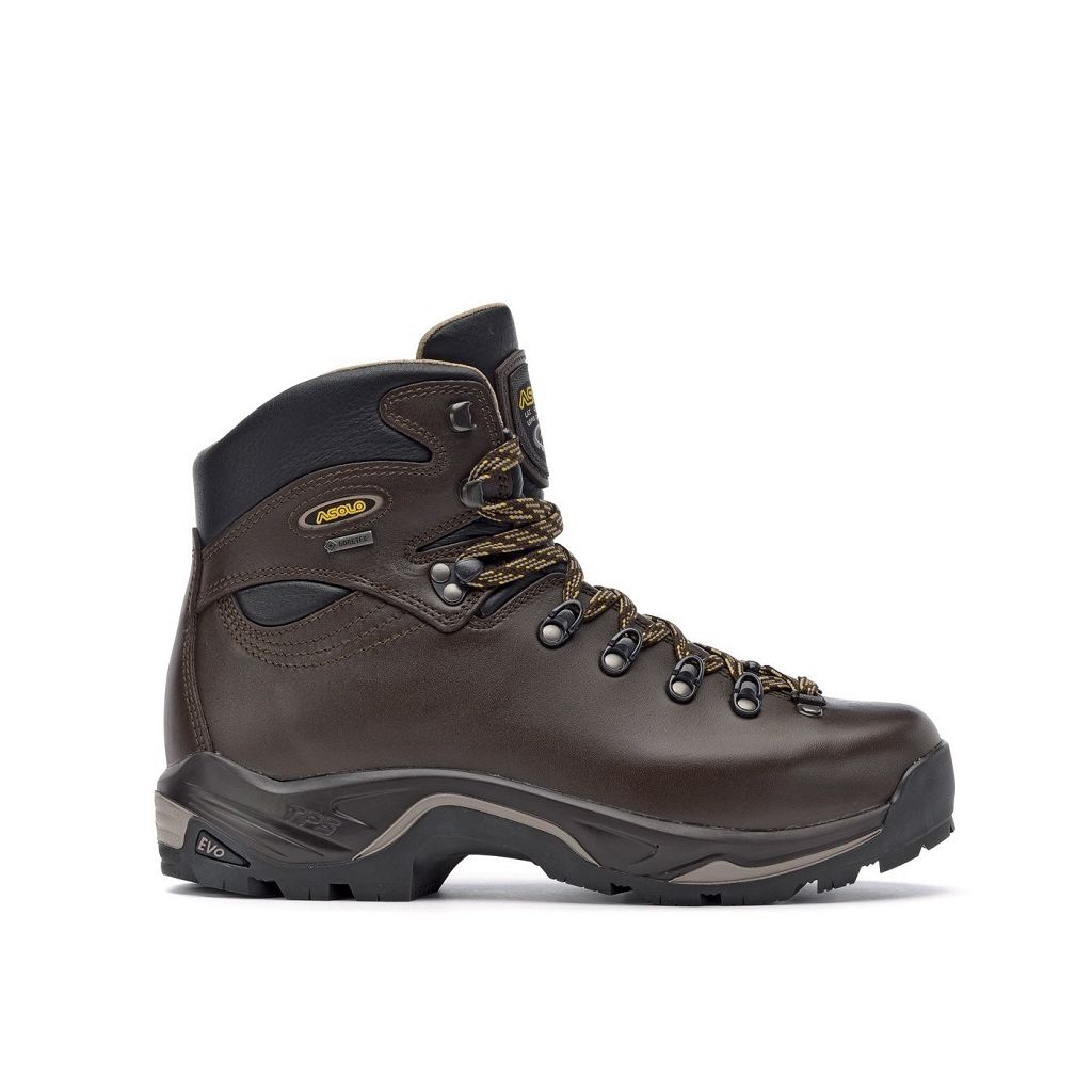 Bottes Asolo TPS 520 GV evo - Chaussure Randonnée Chesnut Homme | WFO-55316545