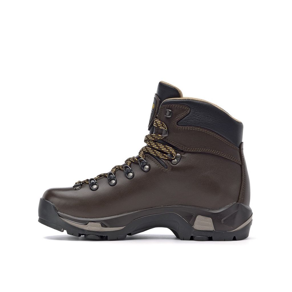 Bottes Asolo TPS 520 GV evo - Chaussure Randonnée Chesnut Homme | WFO-55316545