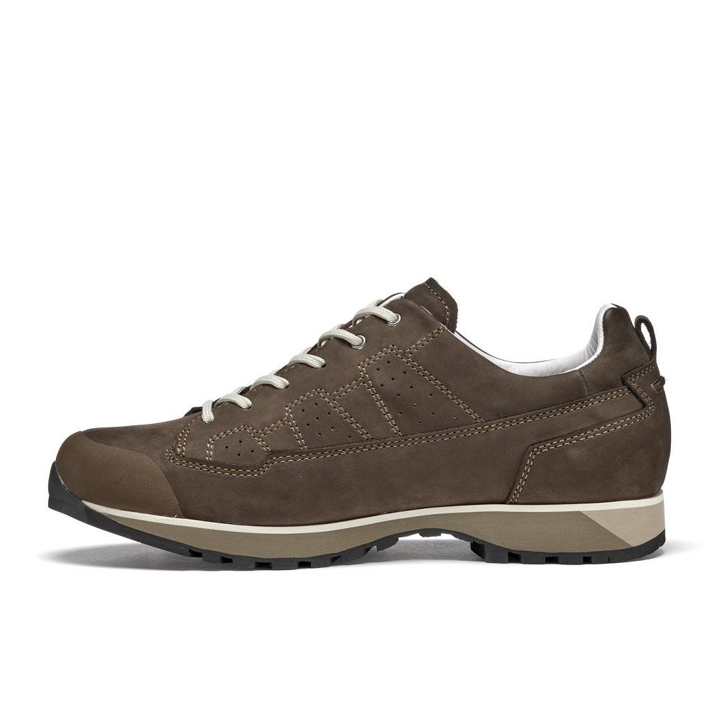 Chaussures Asolo FIELD GV - Chaussure Randonnée Dark Brown Homme | EHI-89089072